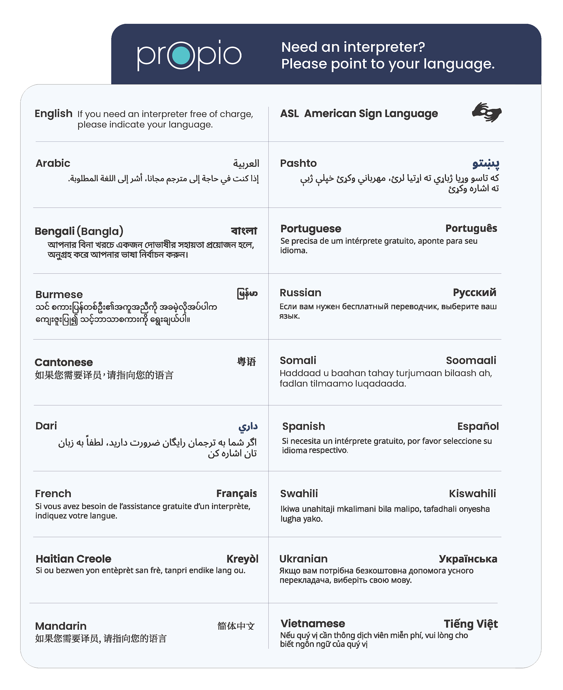 point to your language poster